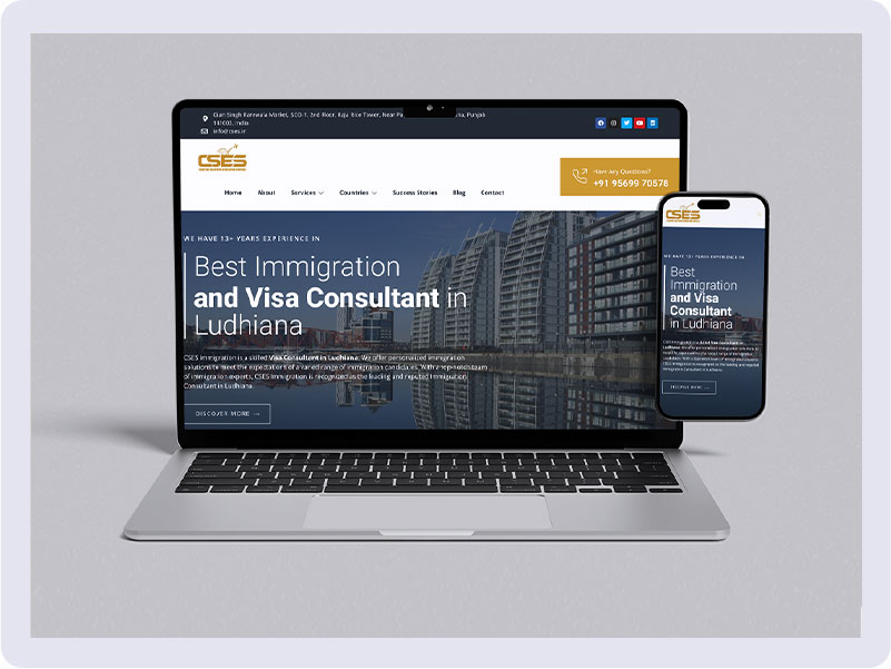 Immigration Consultant